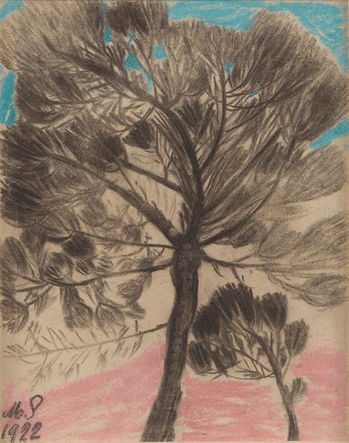 Marthe Solange - Pin parasol au vent