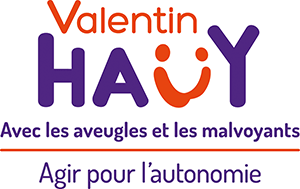 logo valentinH